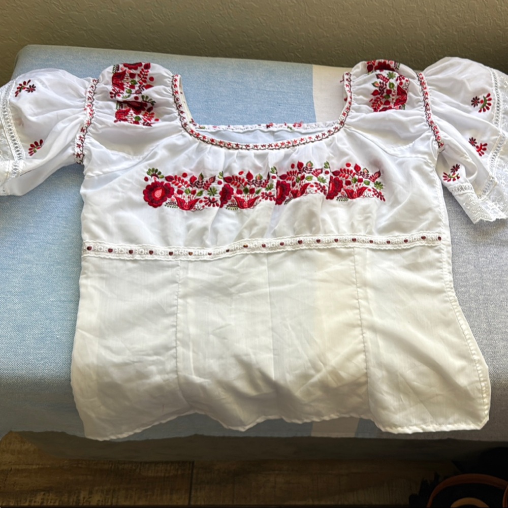 Red and White Embroidered Puff Sleeve Blouse